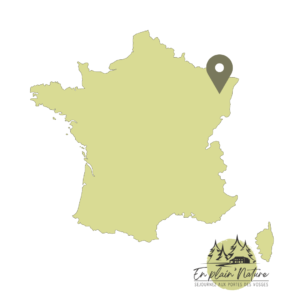 Gîte à proximité de Pierre-Percée en Pleine Nature - Carte de France, où sommes-nous situés? Vosges. Séjournez aux portes des Vosges