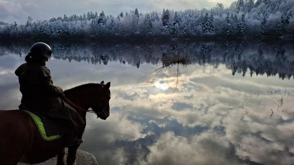 Cheval à Pierre Percée